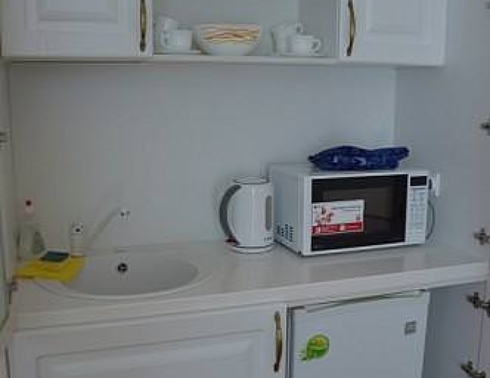 Номер люкс №49 (с пансионом) - Санаторий «Марциальные воды»