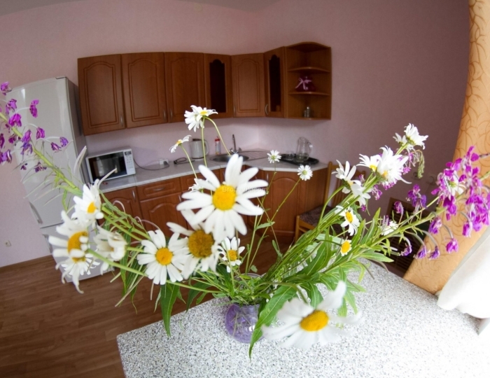 Номер люкс №90 (с пансионом) Тариф Лайт - Санаторий «Марциальные воды»