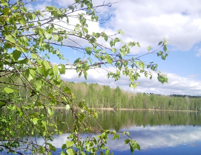 Санаторий «Марциальные воды»